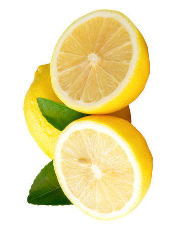 Top view of fresh ripe yellow lemon fruit with two halves and green leaves is isolated on white background with clipping path.の写真素材
