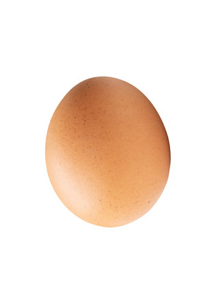 Top view of single brown chicken egg is isolated on white background with clipping path.の写真素材
