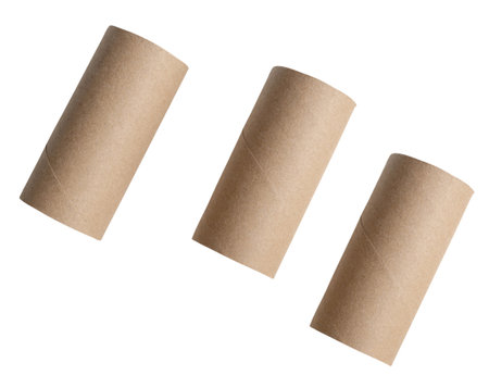 Top view set of tissue paper cores or toilet paper tubes in strange shape after use in toilet or restroom is isolated on white background with clipping path.の写真素材