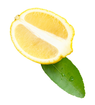 Front view of ripe yellow lemon fruit in slice and ellipse or oval half with one green leaf is isolated on white background with clipping path.の写真素材