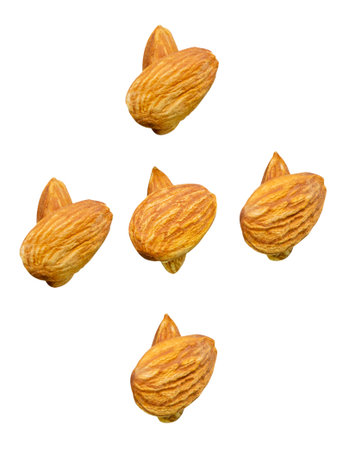 Top view set of almond nuts in stacks is isolated on white background with clipping path.の写真素材