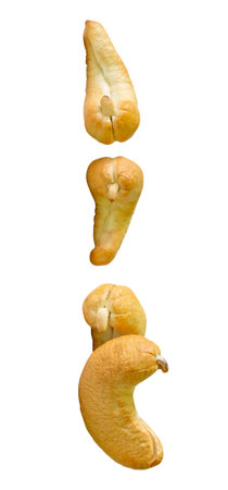Top view set of four roasted or baked cashew nuts is isolated on white background with clipping path.の写真素材