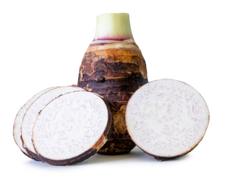 A tuber of taro with circle slices in stack is isolated on white background with clipping path.の写真素材
