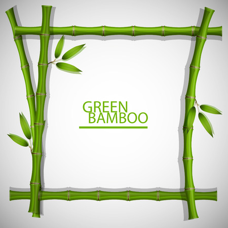 bamboo frame vectorのイラスト素材