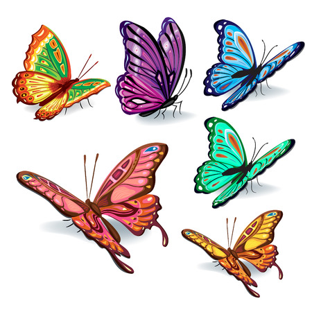 Set of realistic vector butterflies for designのイラスト素材