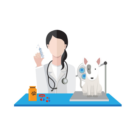 Veterinarian woman with dog vector illustration.のイラスト素材