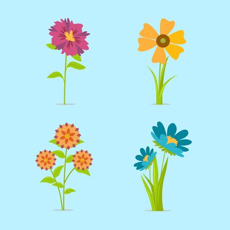 Flowers icon set. Vector illustration on blue background.のイラスト素材