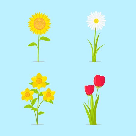 Flowers icon set. Vector illustration on blue background.のイラスト素材