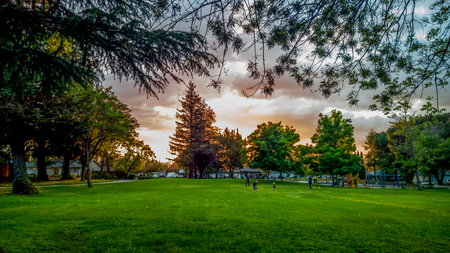 Grass Yard Under Colorful Sunset Cloud with Treesの写真素材