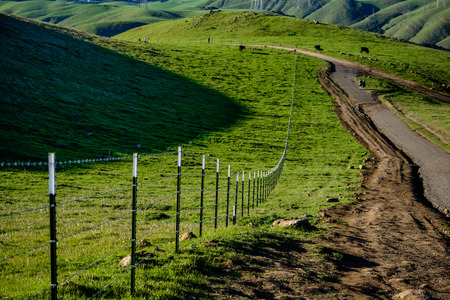 Trail in the Spring at Green Mission Peak Mountainの写真素材