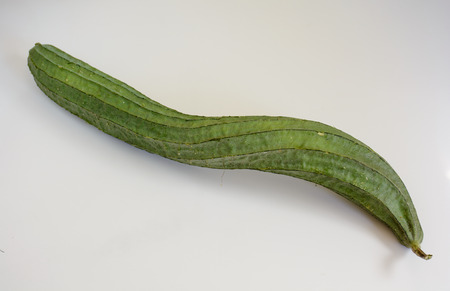 Light Room Shooting of Towel gourd, which also called Eight rib melo.の写真素材