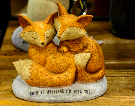 Fox hold together with Love. Home is where ever I am with you.の写真素材