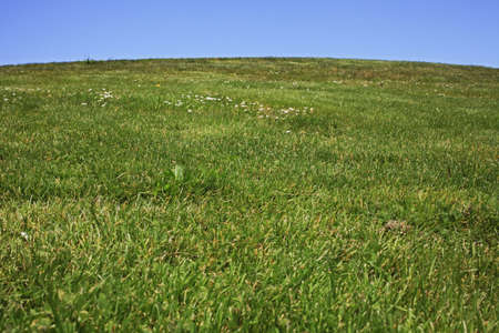 Manicured lawn of hill from belowの写真素材