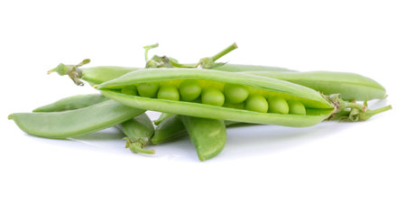 peas  on  the  white  groundの写真素材