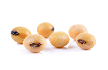 soy bean on white backgroundの写真素材