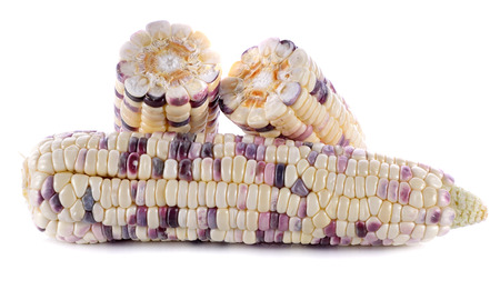 Corns on white backgroundの写真素材