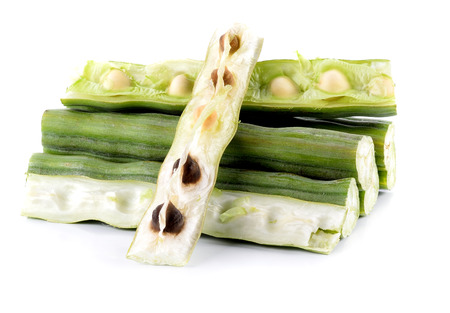 Moringa oleifera lam on white backgroundの写真素材