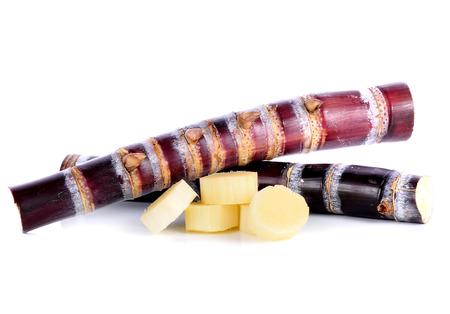 Sugar cane on white back groundの写真素材