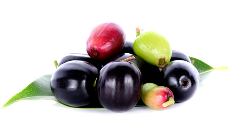Jambolan plum on white backgroundの写真素材