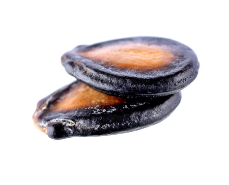 watermelon seeds on white background