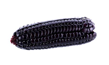 purple corn on white backgroundの写真素材