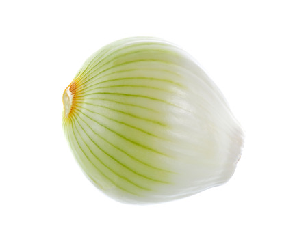 onion slices on white backgroundの写真素材