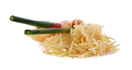 ginger slices  on white backgroundの写真素材
