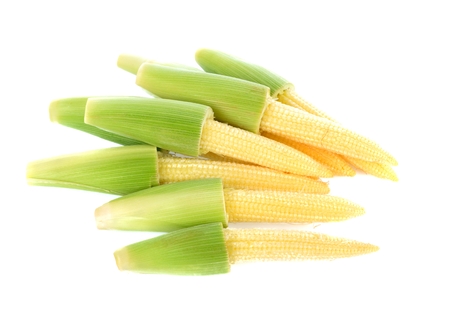 young small corn on white backgroundの写真素材