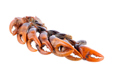 Boiled crab claws isolated on white backgroundの写真素材