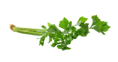 fresh celery on white backgroundの写真素材