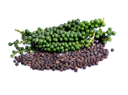 Bunches of fresh green pepper and Black peppercorn isolated on white backgroundの写真素材