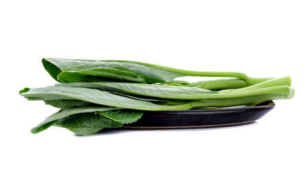 Chinese kale vegetable in brown plate on white backgroundの写真素材