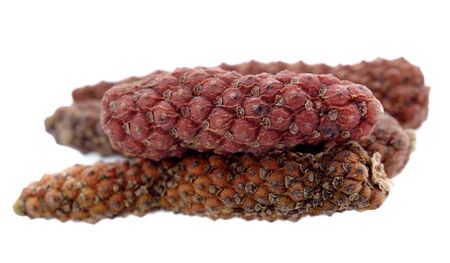 Long pepper isolated on the white background
