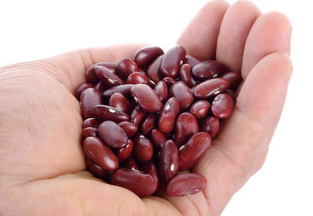 fresh red beans in hand isolate on white background.