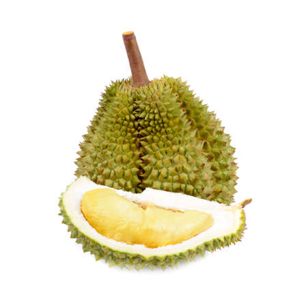 durian fruit isolated on a white backgroundの写真素材
