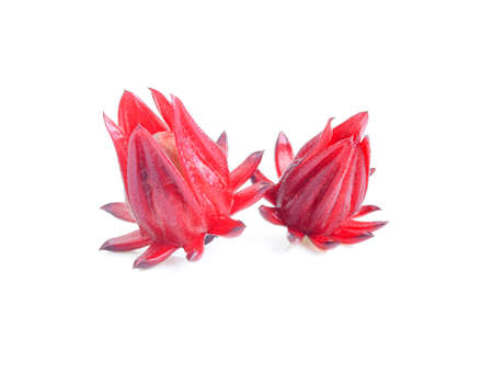 Fresh roselle isolated on white backgroundの写真素材