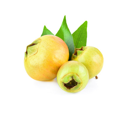 syzygium   jambos  isolated  on  white  backgroundの写真素材