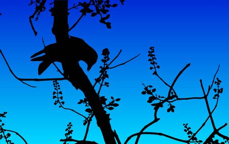 bird on branch blueのイラスト素材