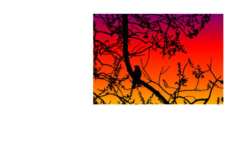 bird on branchのイラスト素材