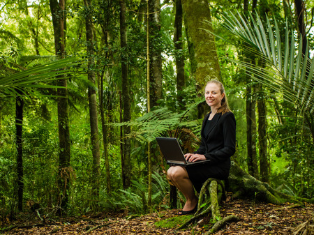 woman working on laptop in forestの写真素材