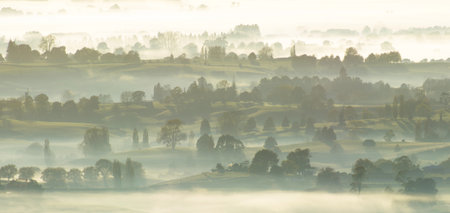 Early morning rural scene with fields, trees and farmhouses shrouded in mist or fog