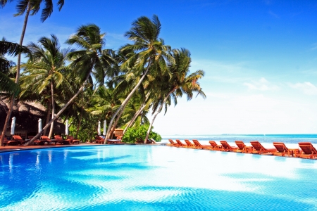 the palm of Maldivesの写真素材