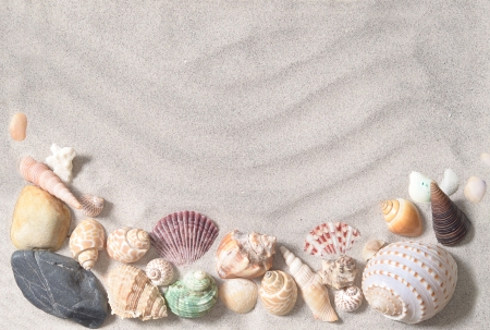 sea shells with sand as backgroundの写真素材