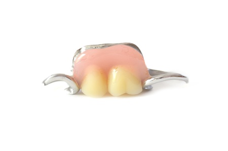 Denture isolated on white