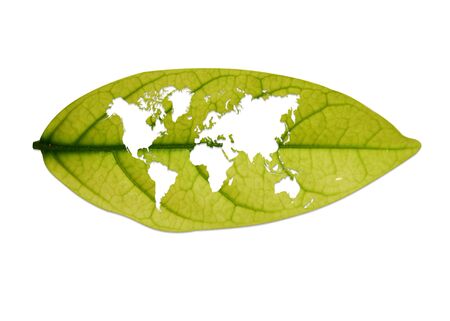 World Map on Green Leafの写真素材