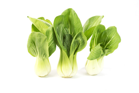 Chinese Vegetable cabbage isolated on whiteの写真素材