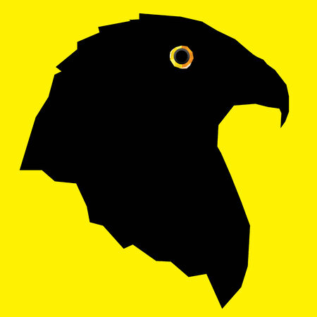 Eagle  head in geometric patternの写真素材