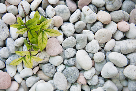 white stones and pebble backgroundの写真素材