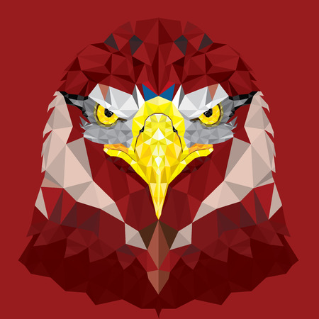 Red Eagle with geometric pattern vectorのイラスト素材