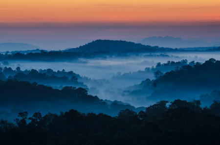 Beautiful sunrise in the forrest  hill covered with fogの写真素材